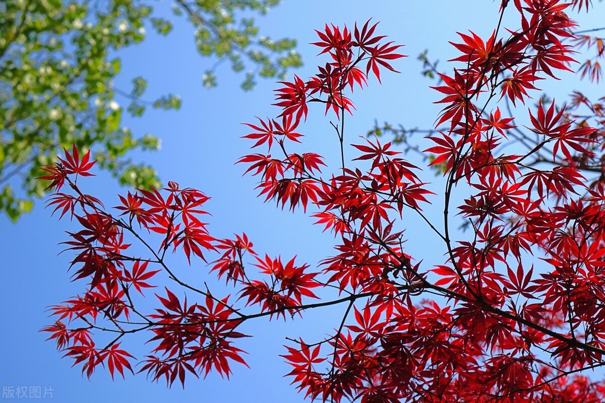 2022年度“慧眼行動”線上答疑整理