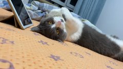 浙江省招標(biāo)投標(biāo)管理中心權(quán)力“補遺”剔除一路