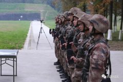 “貓冬”？不存在的！