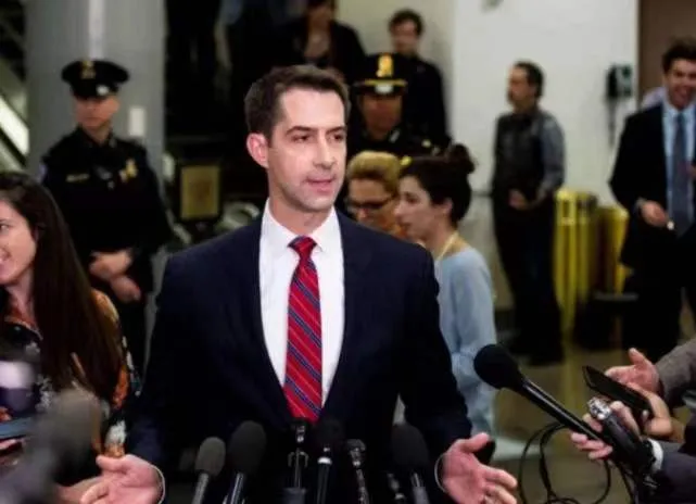 美國官員提議禁用中國稀土